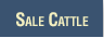 Sale Cattle